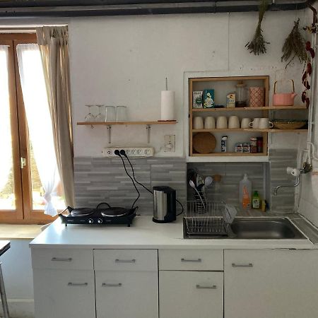 Gite Cosy 25 Min Lyon Vienne St Etienne Longes エクステリア 写真