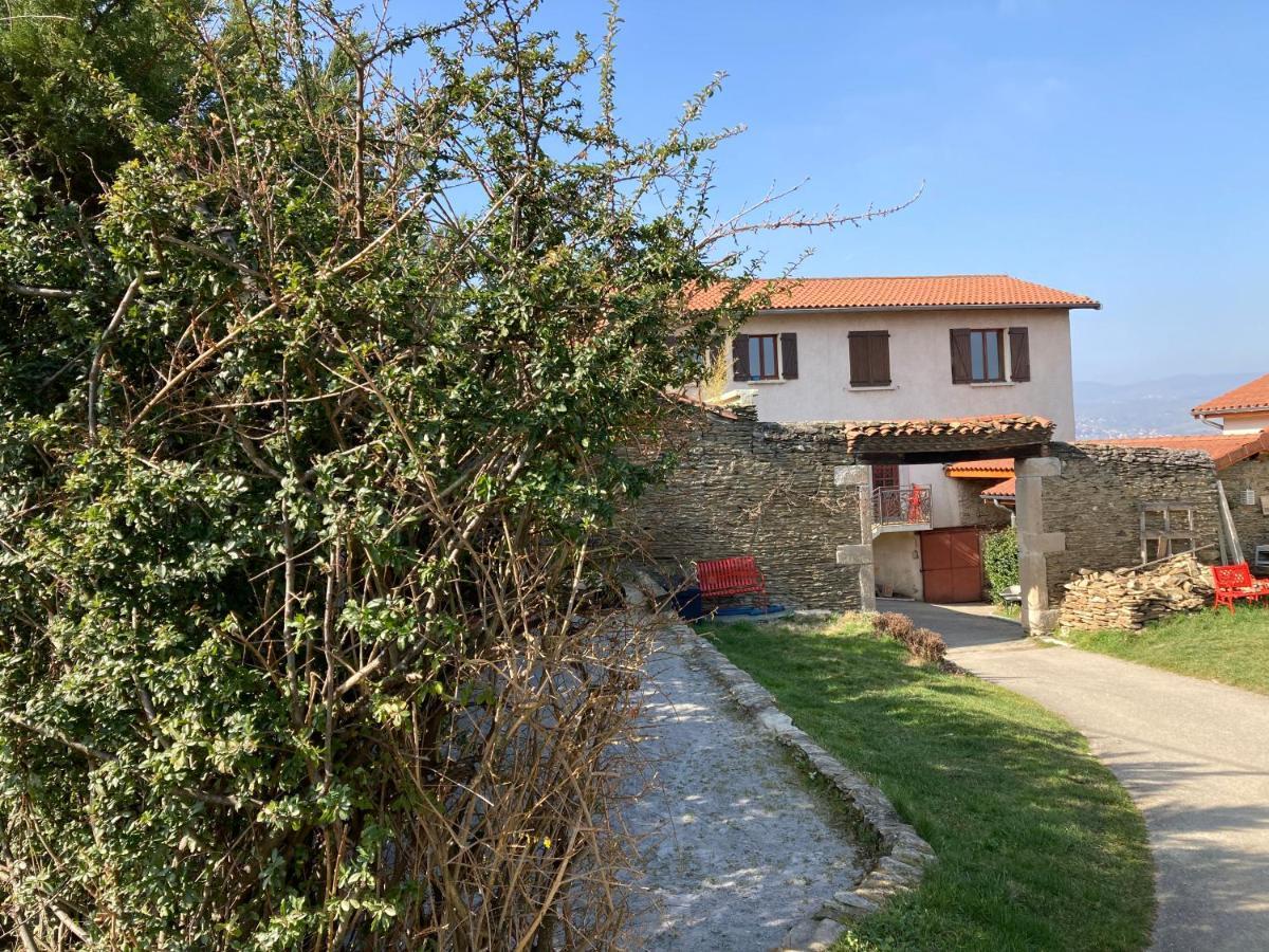 Gite Cosy 25 Min Lyon Vienne St Etienne Longes エクステリア 写真